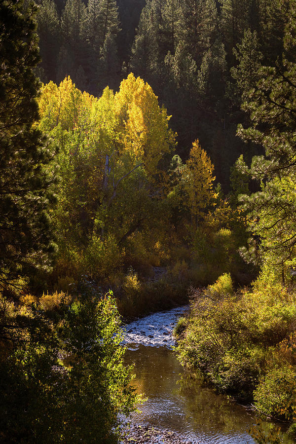 Susan River Autumn Vista Photograph by Mike Lee