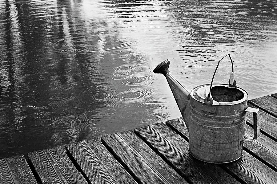 Susannes Watering Can Photograph
