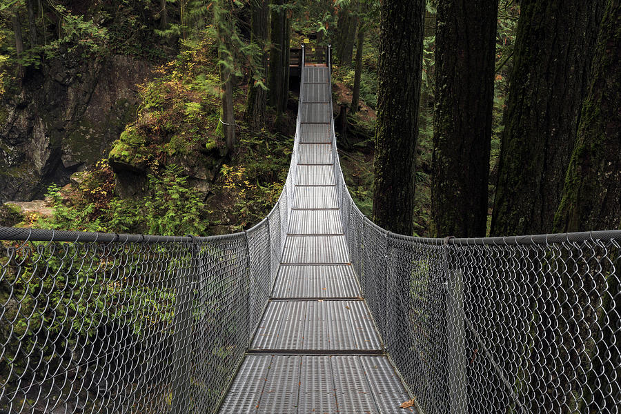 Suspension Bridge at Cascade Falls Photograph by Michael Russell
