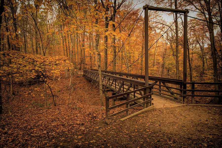 Suspension Bridge in the F. A. Seiberling Nature Realm Park Photograph by Dennis Lundell