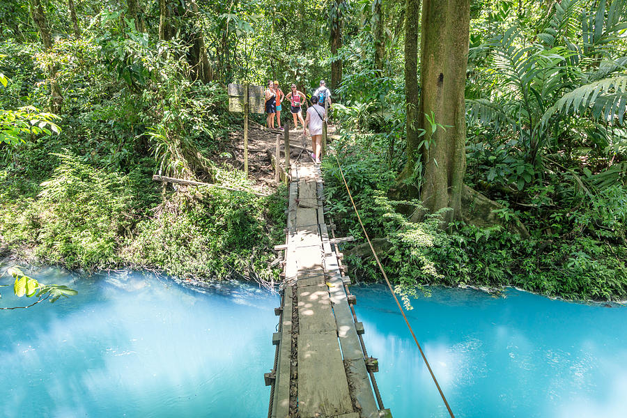 Suspension wooden bridge crossing Rio Celeste river, Costa Rica Photograph by Matteo Colombo