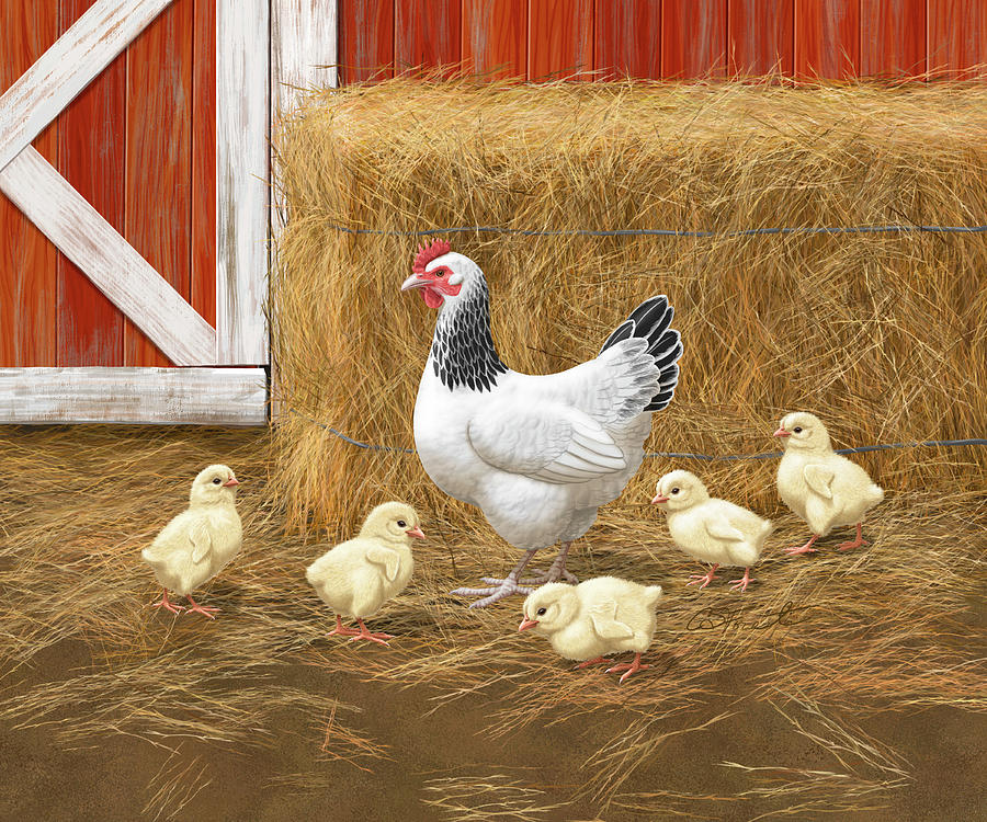 Chickens Painting - Sussex Chickens Hen and Chicks by Crista Forest