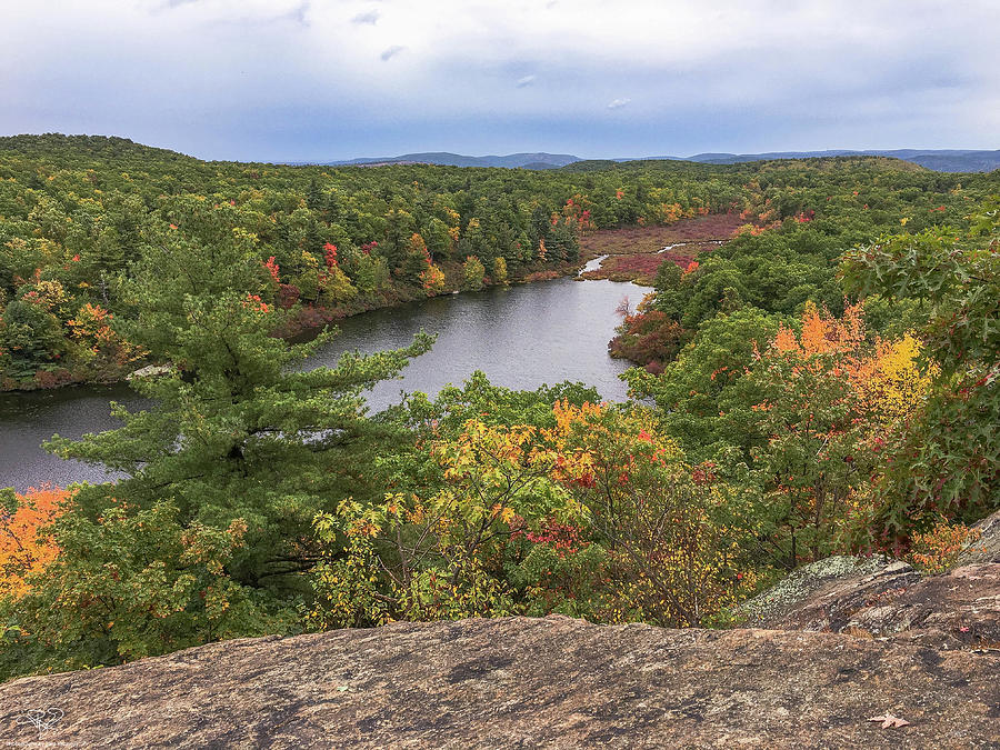 blackrock forest