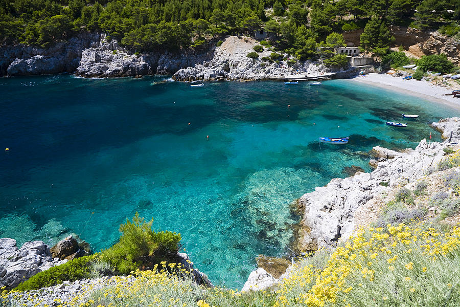 Sutmiholjska swimming bay, Mljet Island, Dubrovnik-Neretva, Dalmatia, Croatia, Europe Photograph by Gunter Flegar