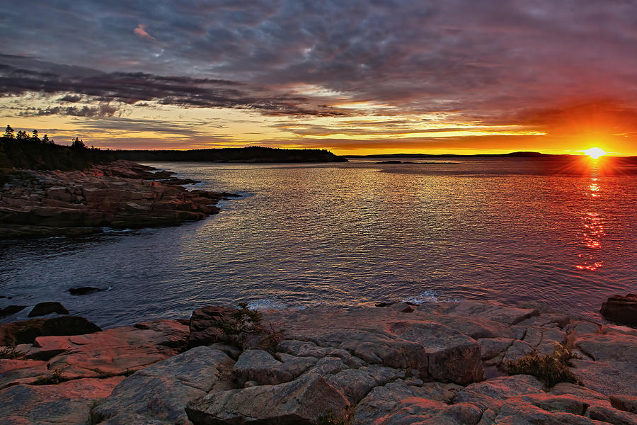 Summer Sunrise - Acadia National Park Photograph by Stephen Vecchiotti