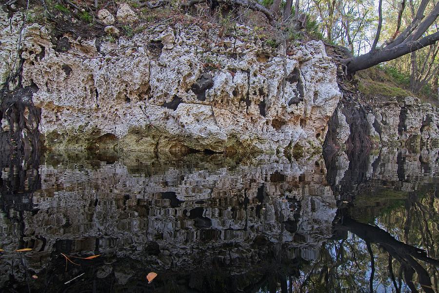 Suwannee River Reflection Photograph