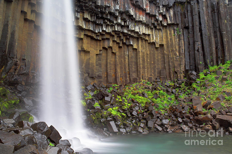 Svartifoss waterfall and basalt columns, Skaftafell national park, Iceland Photograph by Neale And Judith Clark