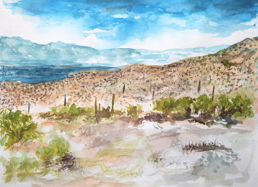 SW Desert Landscape Painting by M Diane Bonaparte