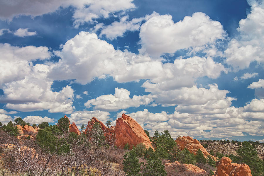 Swagger Is For Boys. Class Is For Men Of Dignity. Garden Of The Gods, Colorado Photograph by Bijan Pirnia