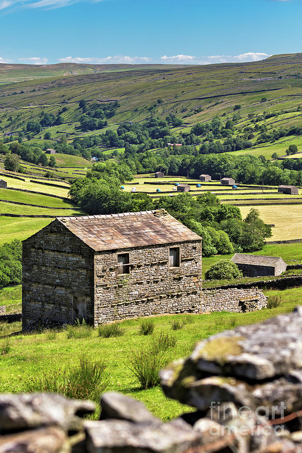 Swaledale Barn Photograph by Tom Holmes