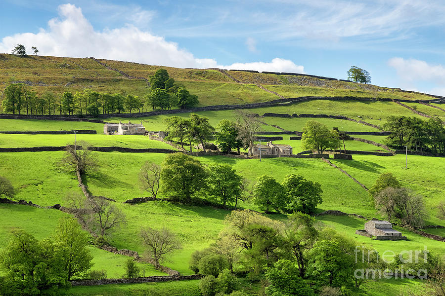 Swaledale in Spring, North Yorkshire, UK Photograph by Colin and Linda McKie