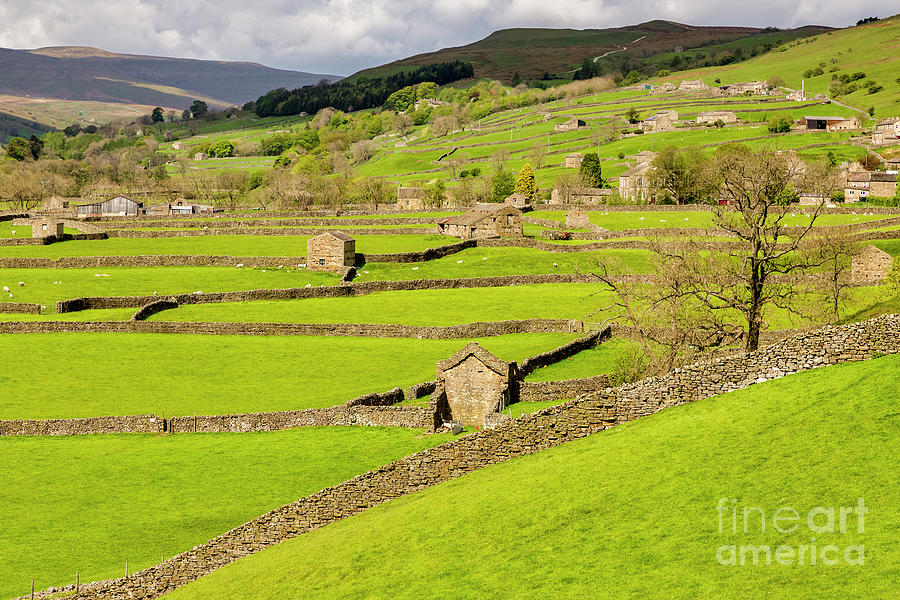 Swaledale in Spring, Yorkshire Dales, UK Photograph by Colin and Linda McKie