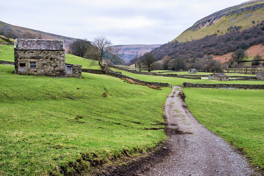 Swaledale Landscape Photograph by Tim Hill - Fine Art America