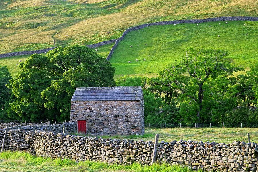 Swaledale Landscape, Yorkshire Dales, England Photograph by Martyn Arnold