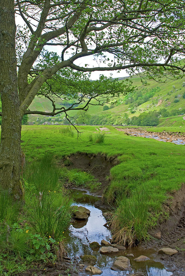 Swaledale Shady Brook Photograph by Les Hutton