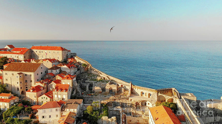 Swallow over Dubrovnik Photograph by Lidija Ivanek - SiLa