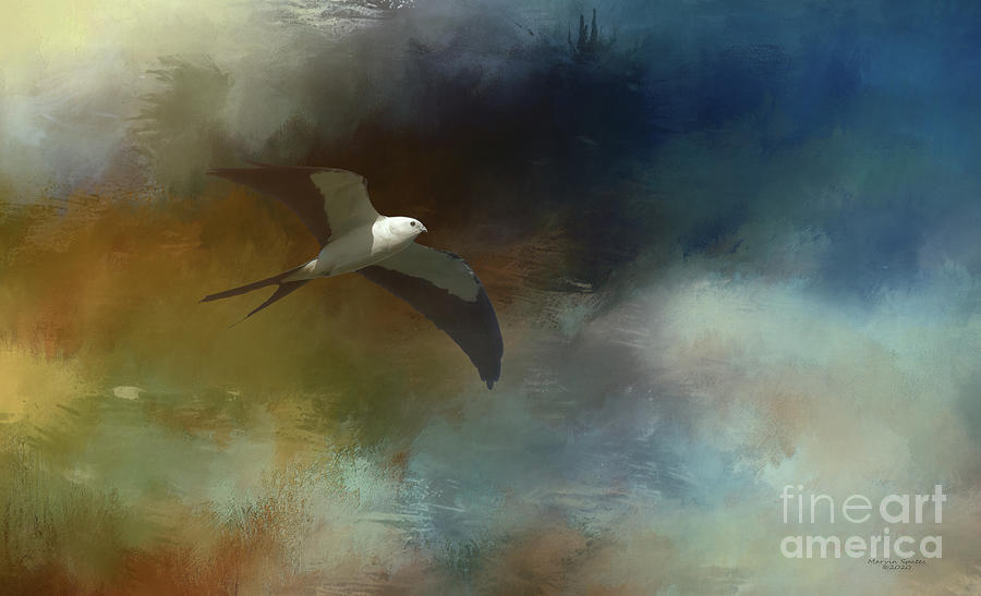 Wildlife Mixed Media - Swallow-Tailed Kite by Marvin Spates