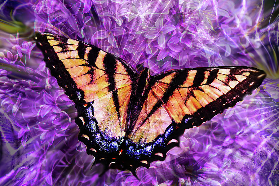 Swallowtail and Lilacs Digital Art by Lisa Yount