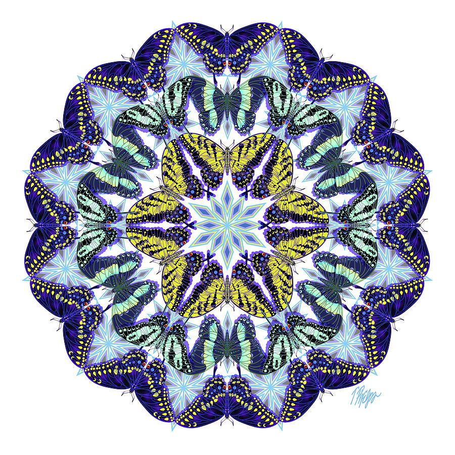 Swallowtail Collection White Mandala Digital Art by Tim Phelps