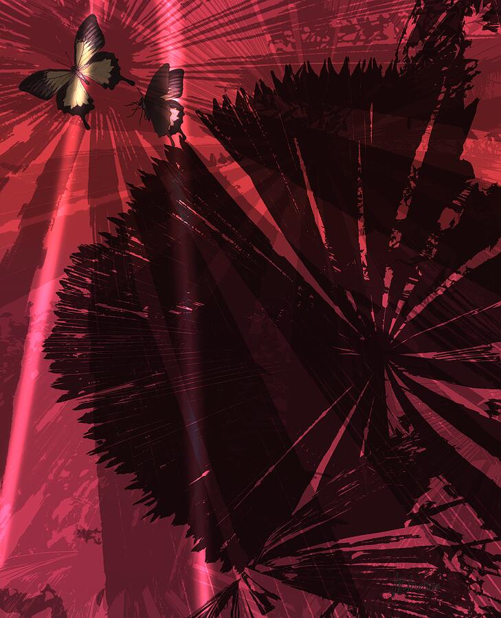 Swallowtail Fan Palm Drawing by Joan Stratton Swallowtail Fan Palm Drawing by Joan Stratton