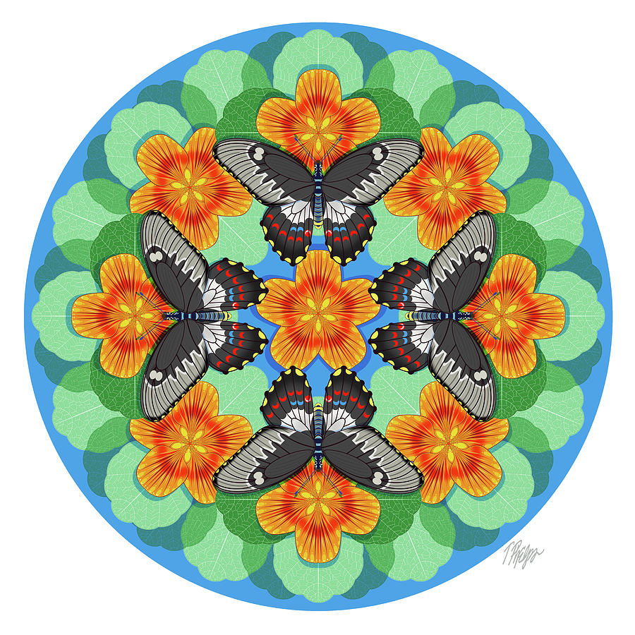 Swallowtail Nasturtium Mandala Digital Art by Tim Phelps