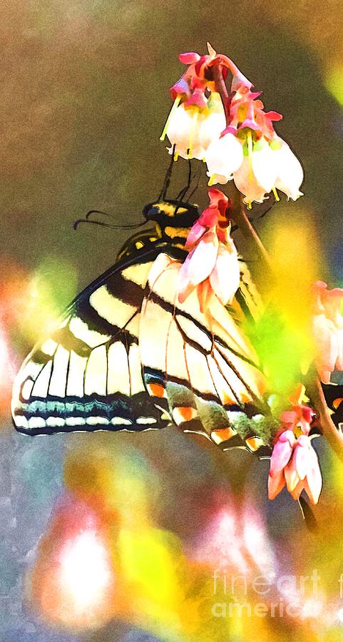 Swallowtail Watercolor Digital Art