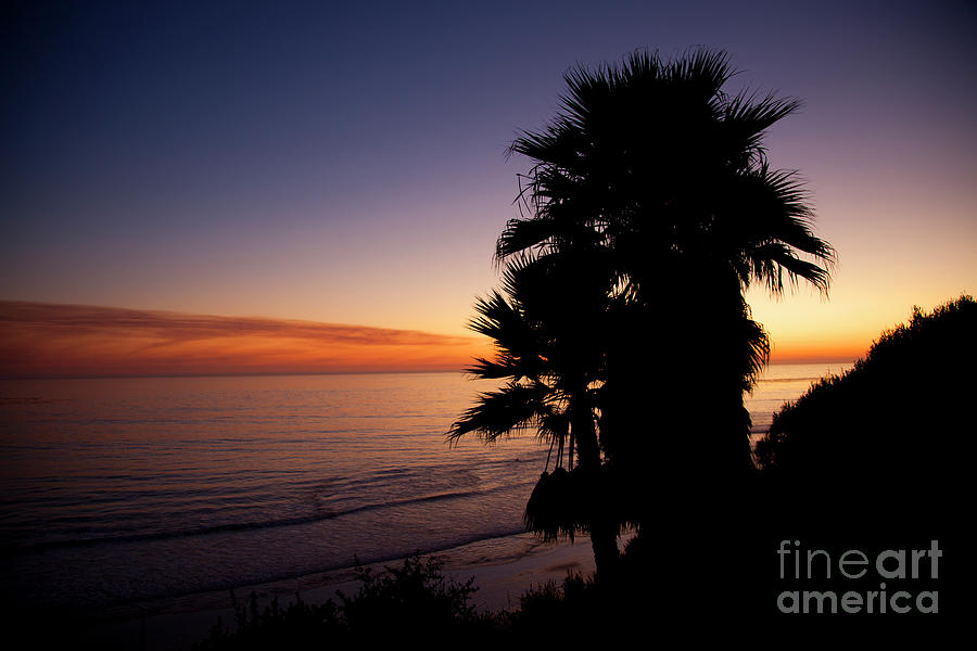 Swamis Beach in Encinitas Photograph by Catherine Walters