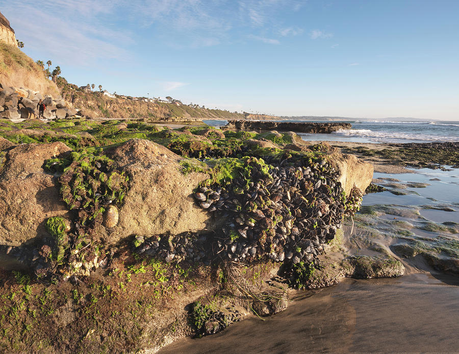San Diego Photograph - Swamis Surfer and Low Tide Rock Formations by William Dunigan