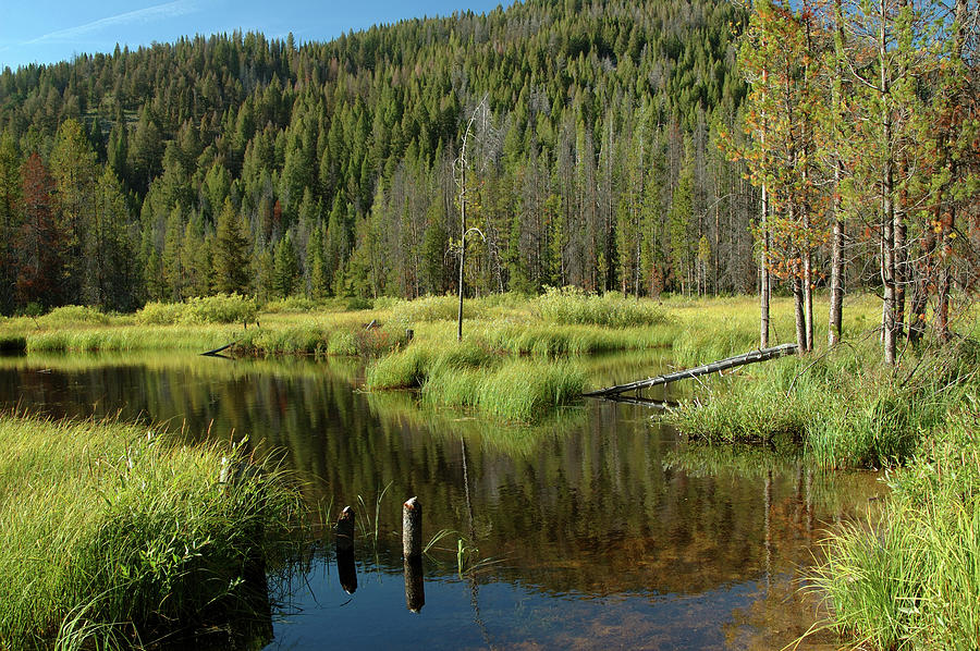 Swamp in the Sawtooth Mountains. Photograph by Rob Huntley