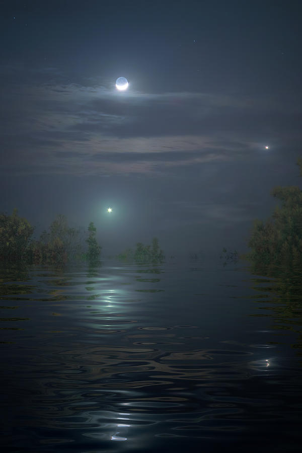 Swamp Lights Photograph by Mark Andrew Thomas