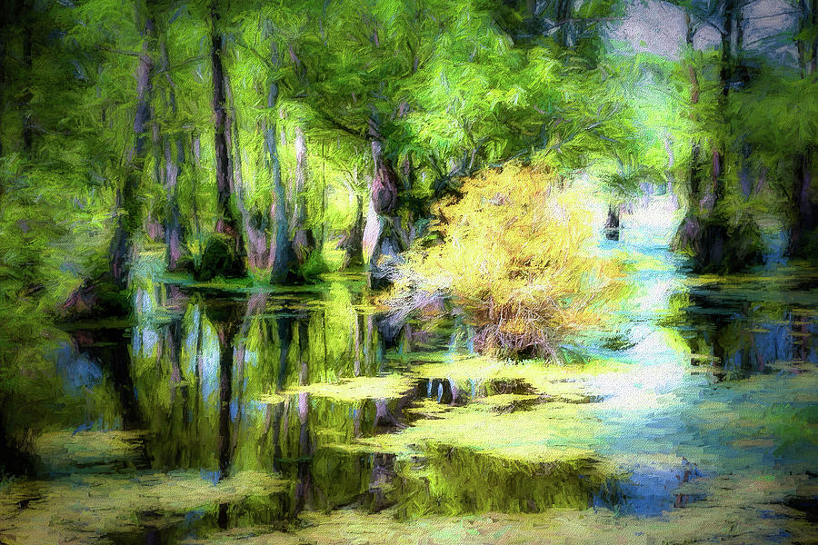 Swamp of Many Colors ap Photograph by Dan Carmichael