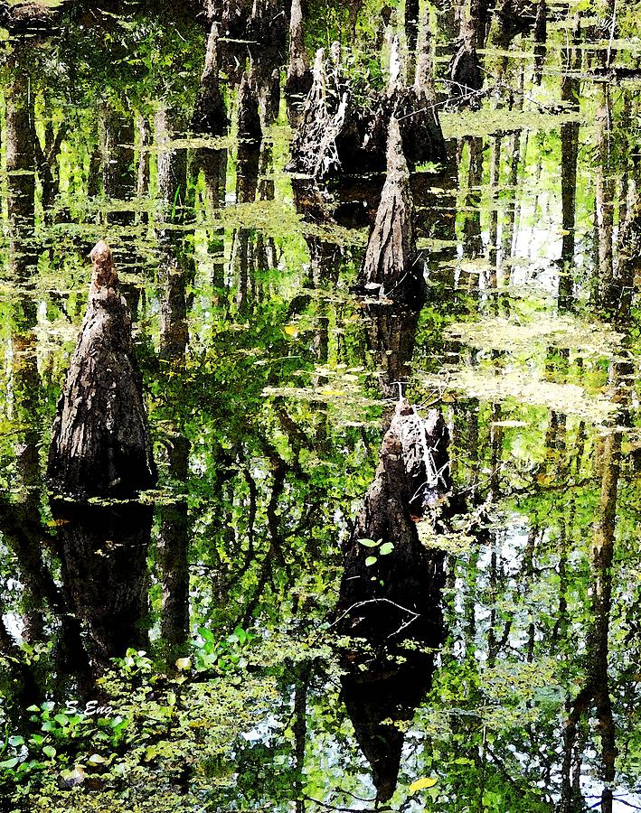 Swamp Reflections Photograph by Sharon Williams Eng