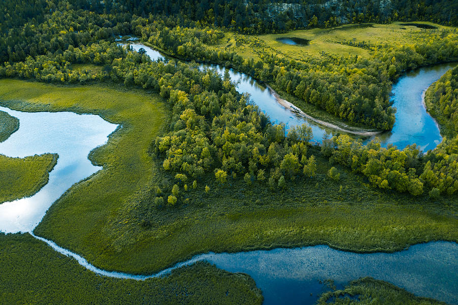 Swamp, river and trees seen from above Photograph by Baac3nes