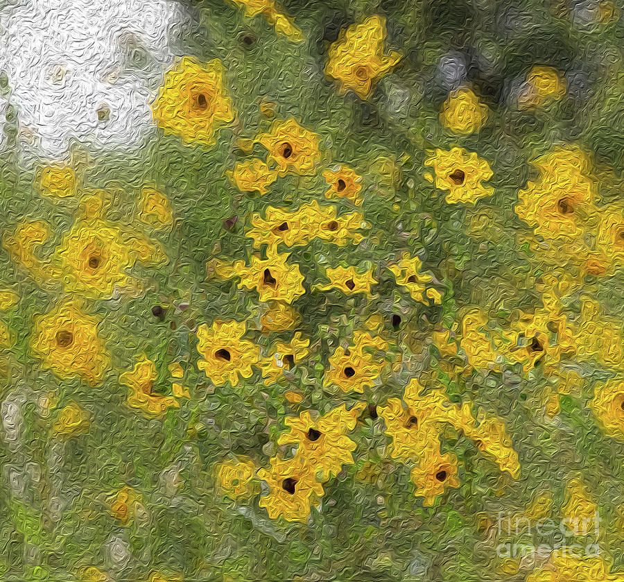 Swamp Sunflowers Digital Art by Patti Powers