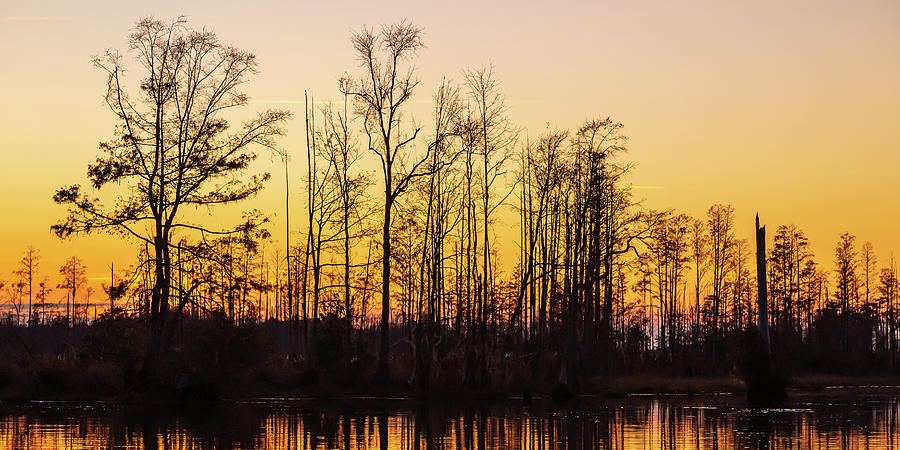 Swamp Sunset Afterlight Photograph by Stefan Mazzola