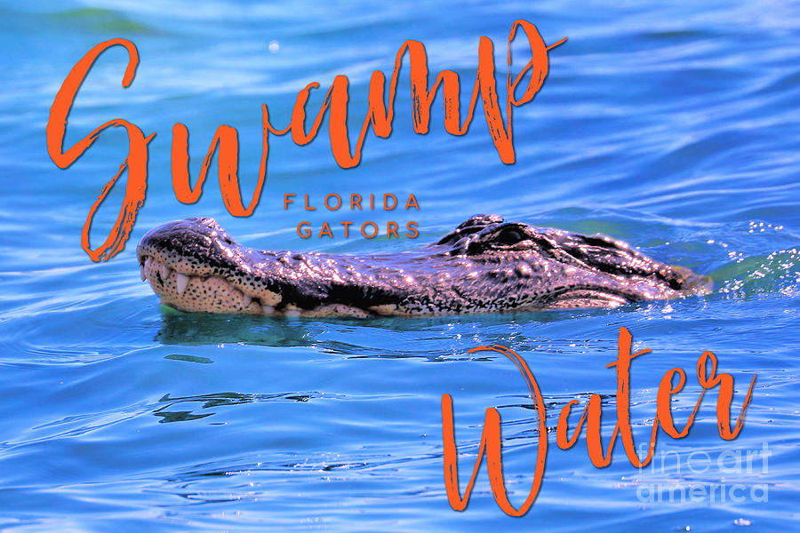 Swamp Water Florida Gators Photograph