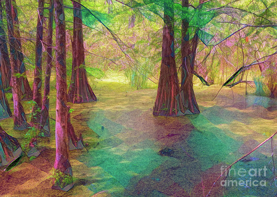 Swamps Louisiana Art Deco  Digital Art by Chuck Kuhn