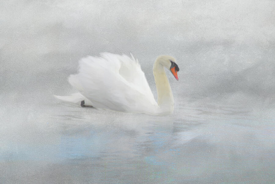 Wild Swan Photograph by Marilyn Wilson