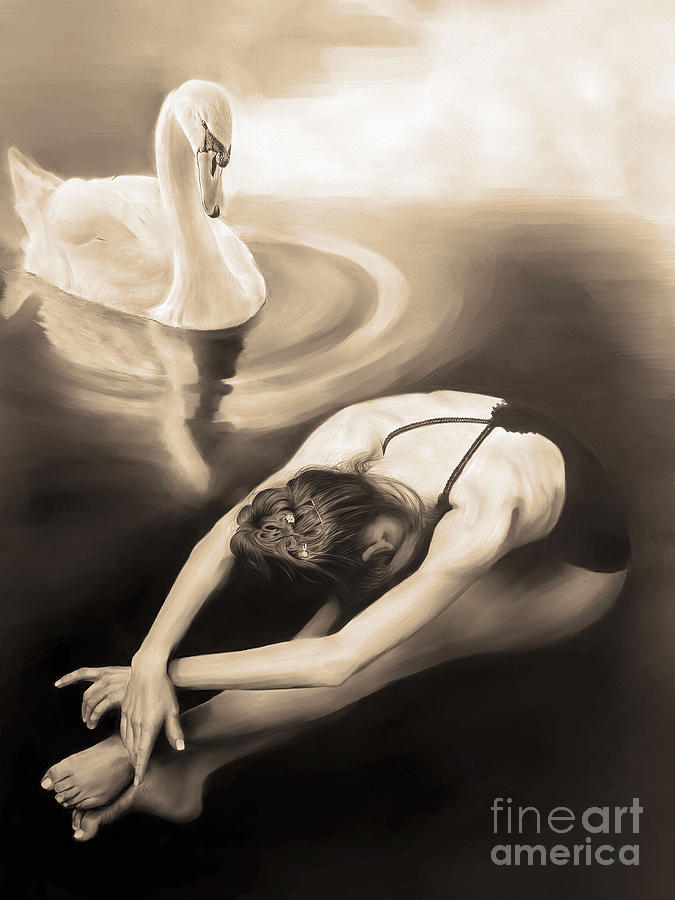 Swan Painting - Swan Ballet ed4 by Gull G