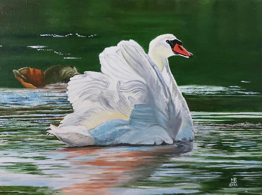 Swan Painting - Silver Lining by Wildlife and Nature
