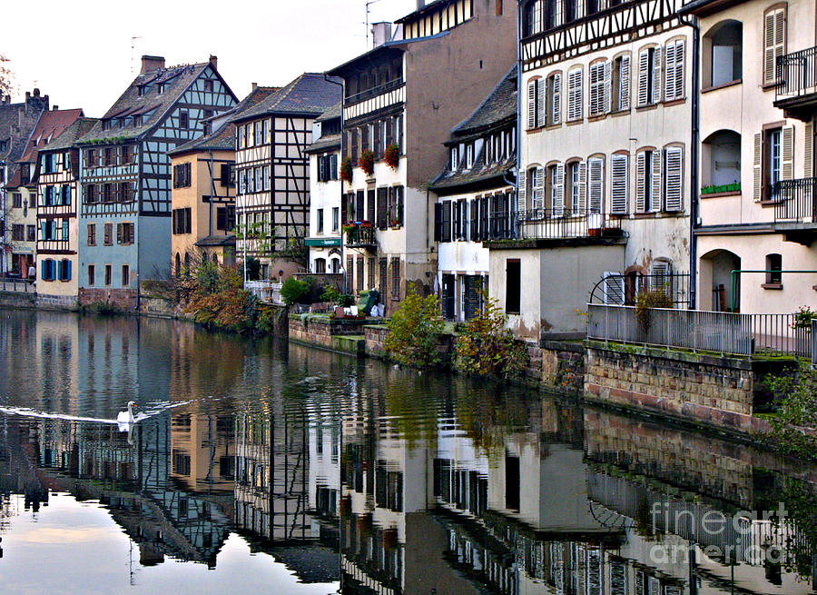 Swan Canal of Strasbourg Photograph by Tony Lee