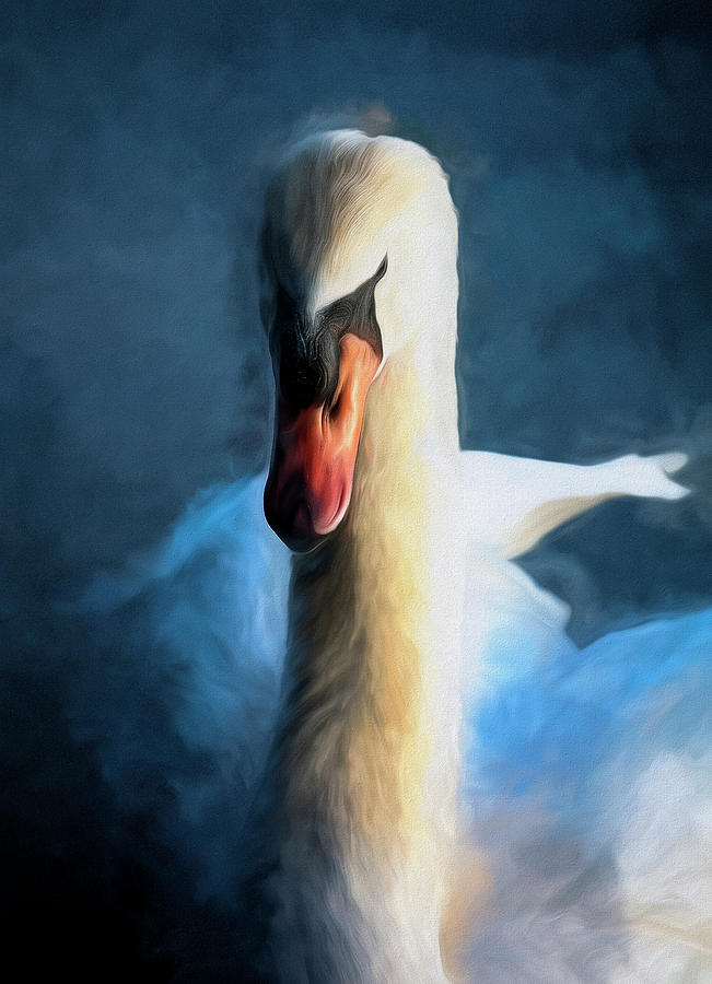 Swan Close Up Photograph by Deborah Penland