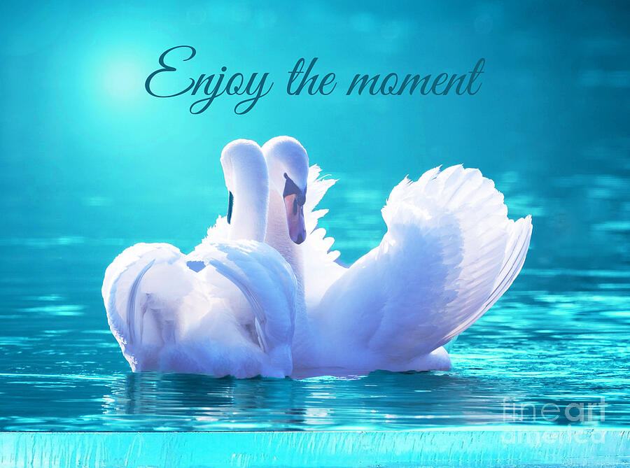 Swans in love Pastel by Sunny Land Swans in love Pastel by Sunny Land