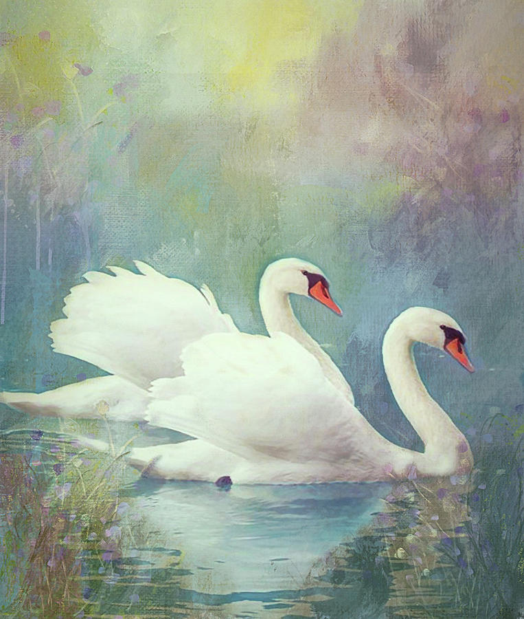 Swan Dreams Mixed Media by Kathy Kelly