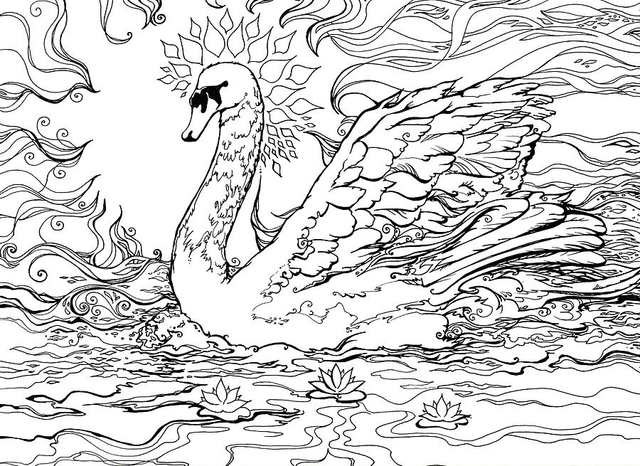 Swan Healing Drawing