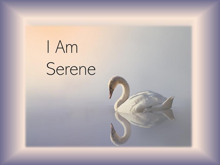Swan I Am Serene Photograph by Nancy Ayanna Wyatt