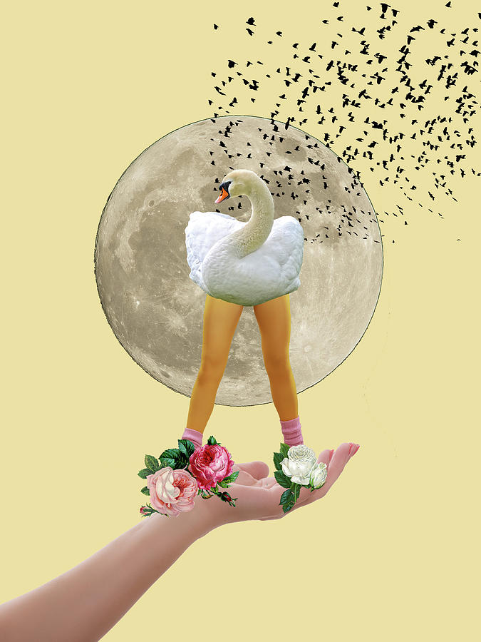 Swan Digital Art - Swan Lady by Nancy Merkle
