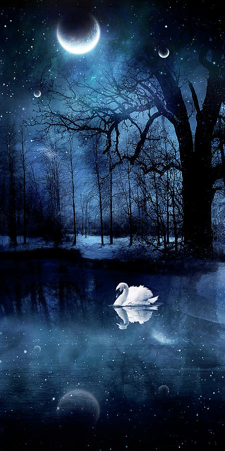 Swan Lake Digital Art by Claudia McKinney