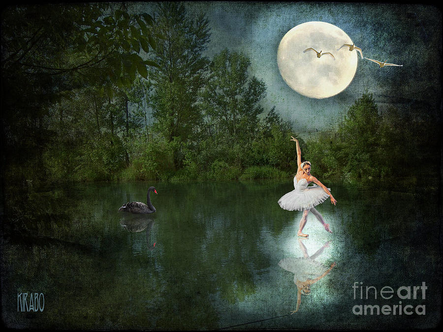 Swan Lake Mixed Media by Kira Bodensted
