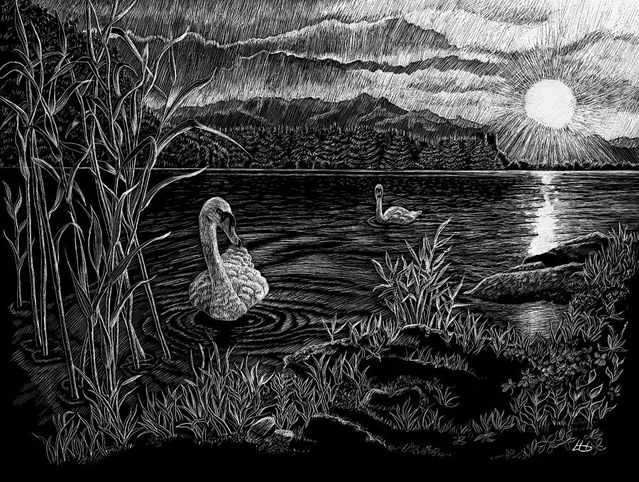 Swan Lake Drawing by Lynne Henderson
